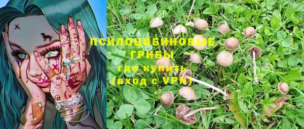 a pvp Покров