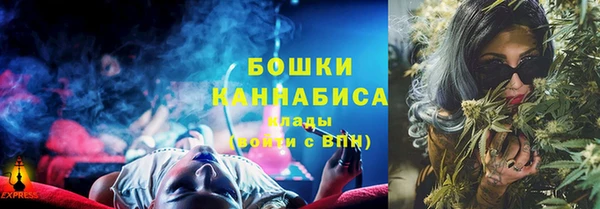 гидра Алексеевка