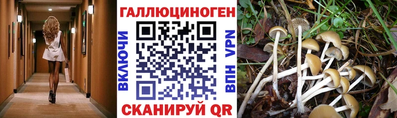 Псилоцибиновые грибы ЛСД  где продают   Чаплыгин 